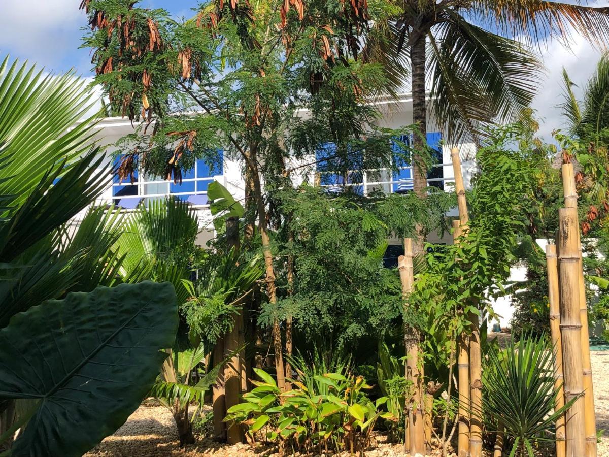 Aurora Boutique Hotel Jambiani Jambiani  Dış mekan fotoğraf