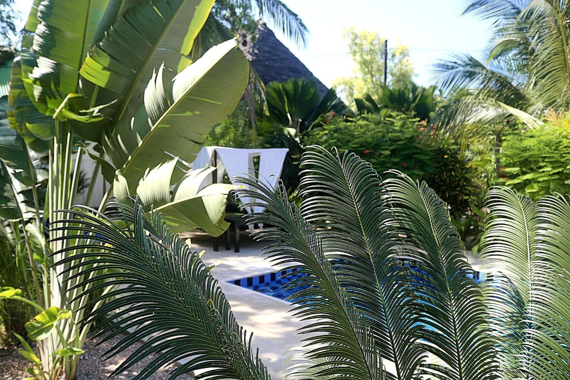 Aurora Boutique Hotel Jambiani Jambiani  Dış mekan fotoğraf